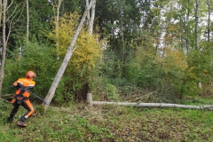 MiniIMG_20221022_105939