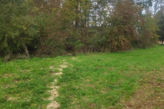 MiniIMG_20221022_152658
