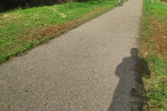 MiniIMG_20221022_152952