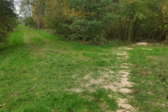 MiniIMG_20221022_153503